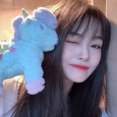 挪威的抵抗
